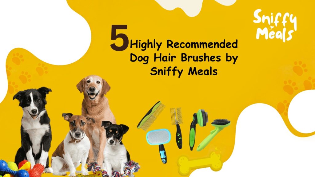 Pets Hair Brushes