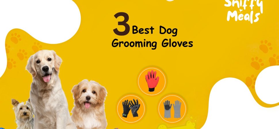 Grooming Gloves For Dogs