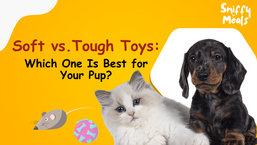 Soft VS Tough Toys