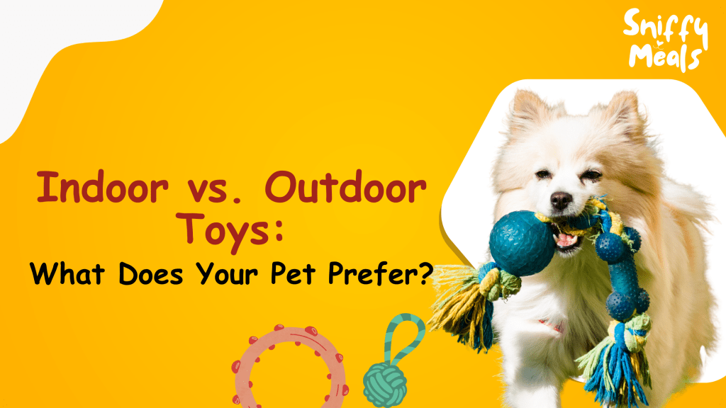 Indoor and Outdoor Toys