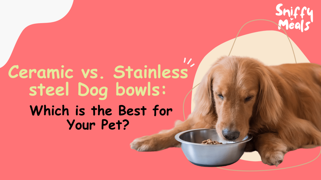 Ceramic vs. Stainless Steel Bowl