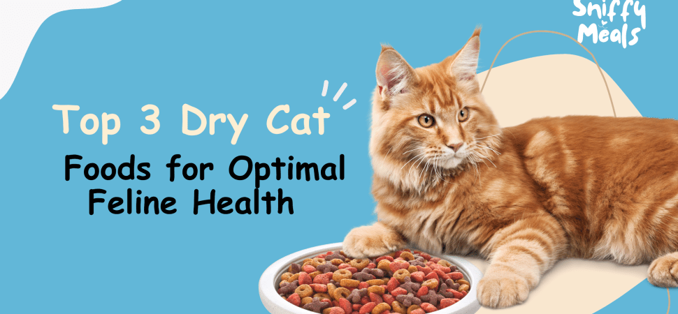 Dry Cat Foods