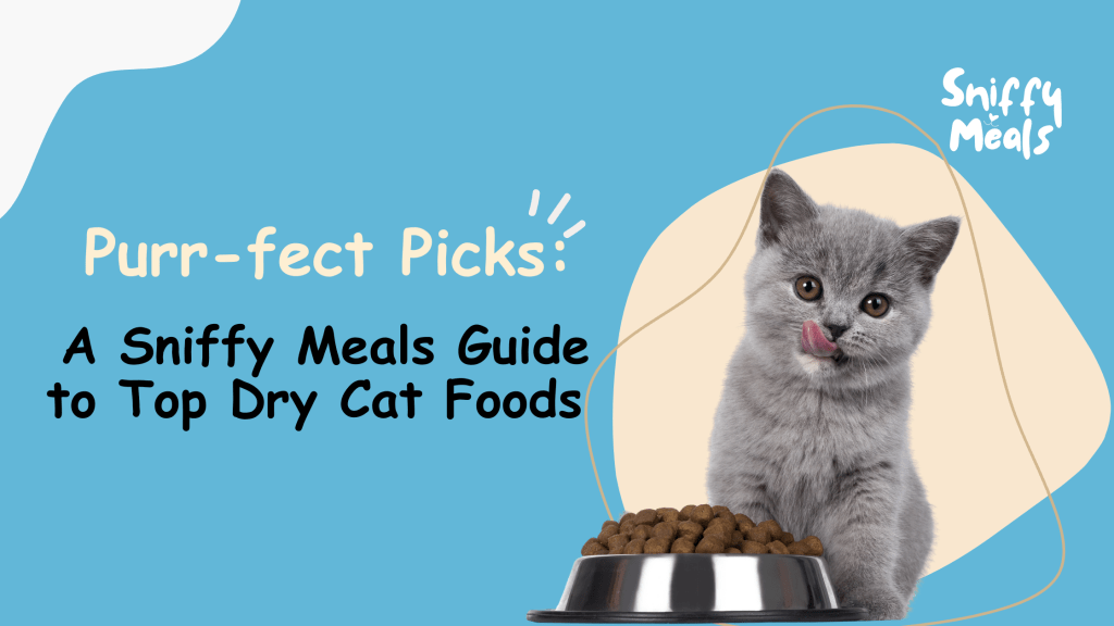 Top Dry Cat Foods