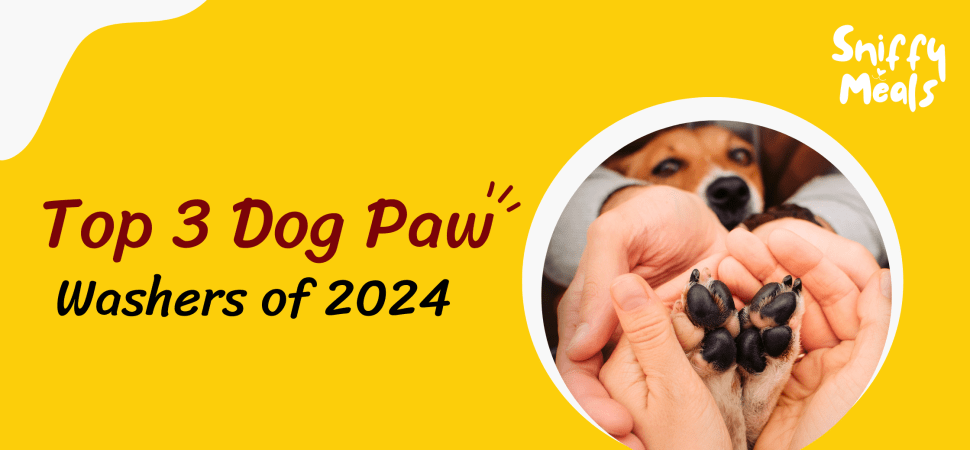 Dog Paw Washer